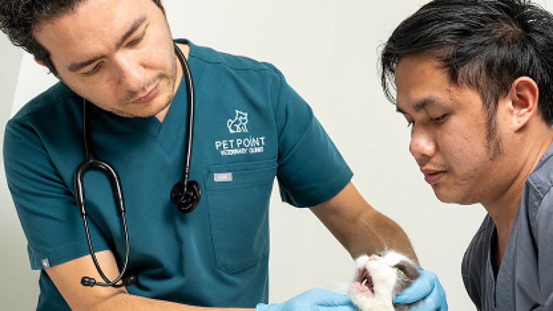 Pet Point Veterinary clinic | Veterinary Clinic in Dubai | Pet Clinic
