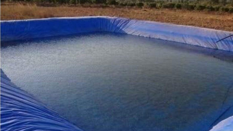 Pond Liner: The Essential Foundation for Your Water Feature