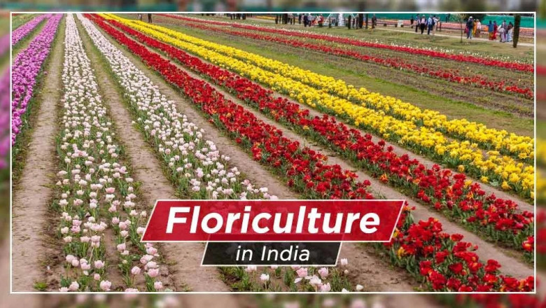 Know About What is Floriculture and Popular Crops