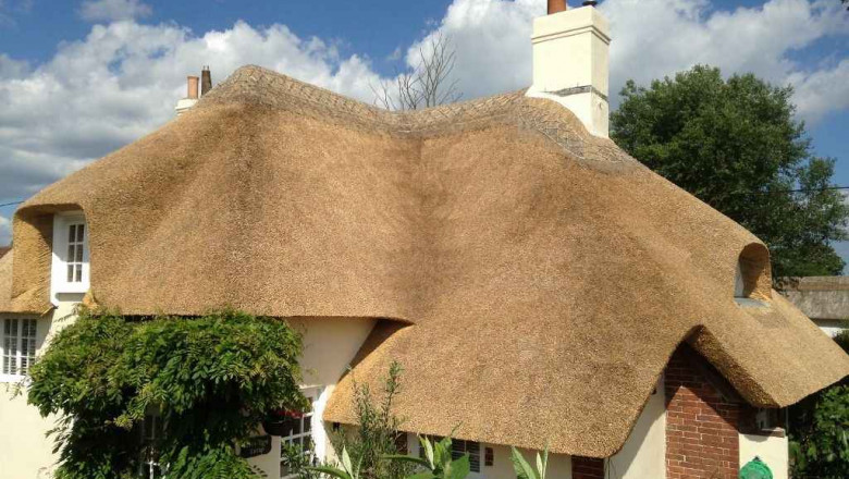 Somerset Thatching: The Craft That Keeps the Countryside Alive