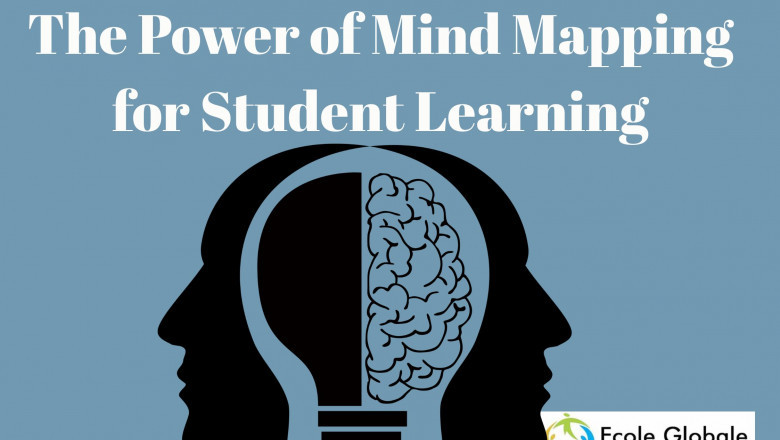 The Power of Mind Mapping for Student Learning