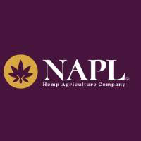 Naplimited200