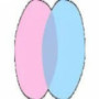 chatnederlands11