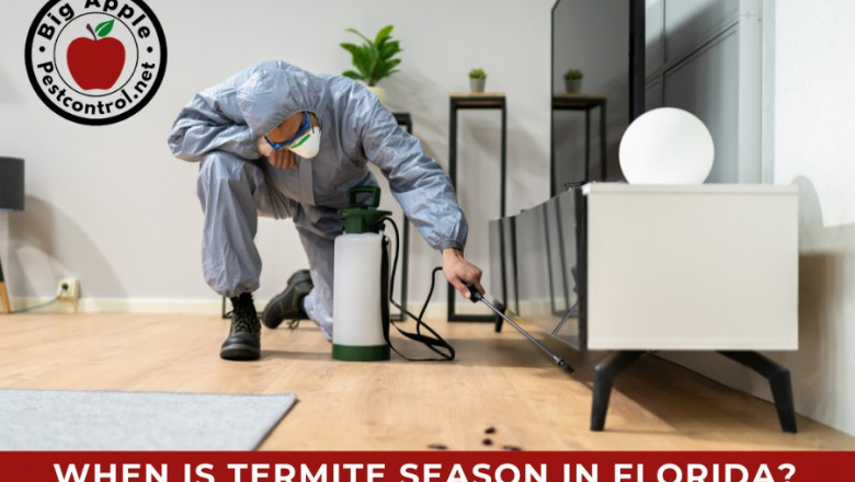 From stealthy bed bugs to wood‑devouring termites