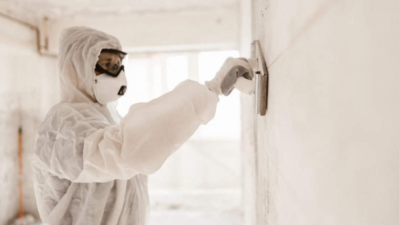 Comprehensive Mold Remediation – Ensure a Healthier Home Environment