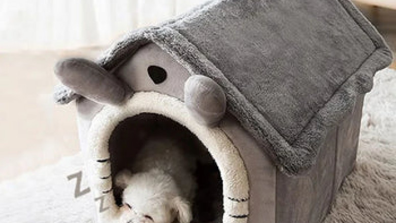 Premium Pet Housing – Comfortable & Durable Solutions for Your Pet