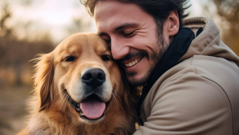 The Importance of Dermatology Pet Care