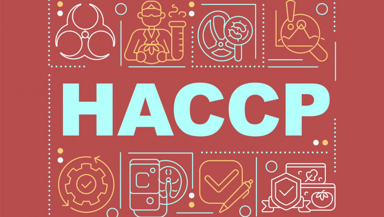 The Importance of HACCP Certification: Your Key to Food Safety Success