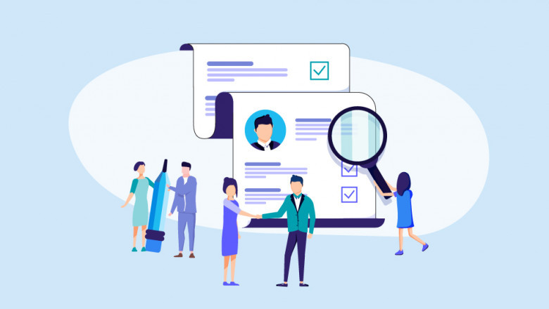 Loss Adjuster Jobs
