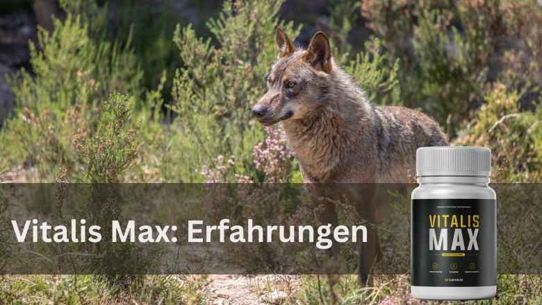 Vitalis Max – Natuurlijke testosteronbooster en ondersteuning van de bloedsomloop voor mannen