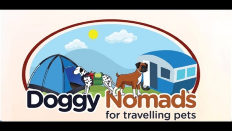 Find Reliable Cat Boarding Services with Doggynomads