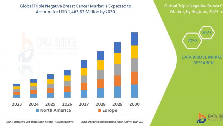 Triple Negative Breast Cancer Market: Insights, Trends, and Growth Opportunities in 2025