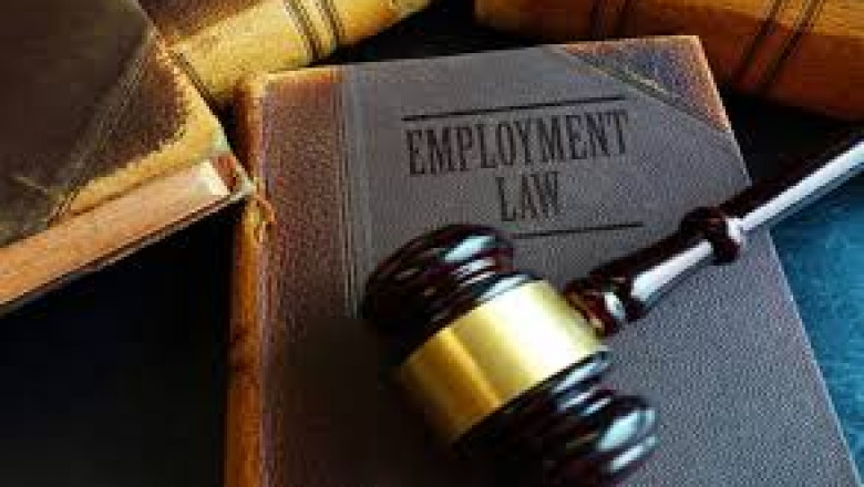 Pasadena Employment Lawyer’s Guide to Navigating Wrongful Termination, Wage Theft, and More