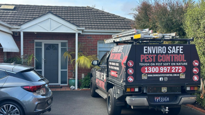 Protecting Your Business from Pests: A Complete Guide for Melbourne Companies