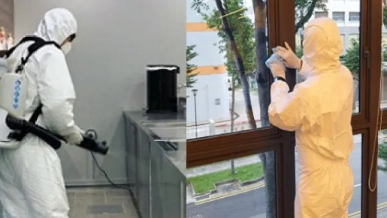 How to Protect Your Home from Singapore Mosquitoes and Cockroaches
