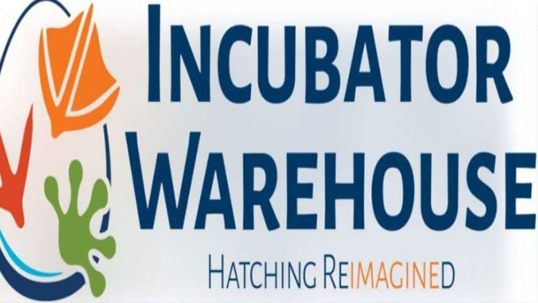 Top 5 Automated Quail Incubators You’ll Love