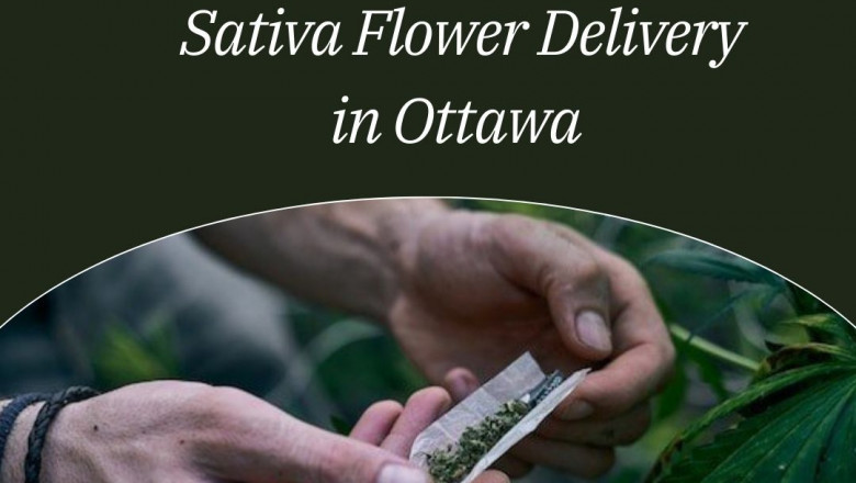 What Sets Premium Cannabis Delivery Apart from Standard Services?
