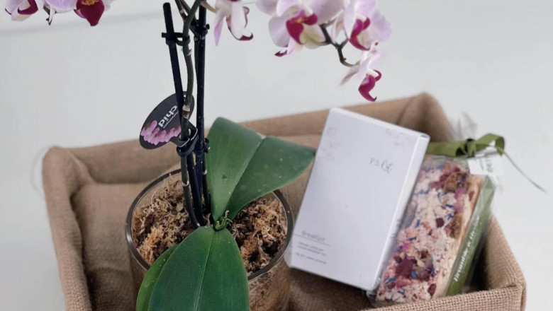 Fresh & Thoughtful Gifting: Fruit Baskets and Plants Delivered Across Melbourne