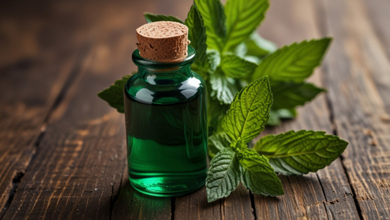Peppermint Oil Price Trend, Chart, News, Graph, Demand and Forecast
