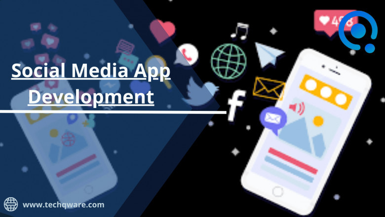 Social Media App Development Company - Size and Overview in India 2025