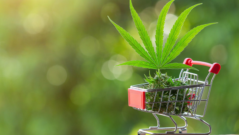 Cannabis Delivery in Kingston: Your Guide to Convenient Access