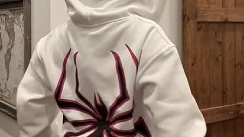 Spider Hoodie for Every Budget