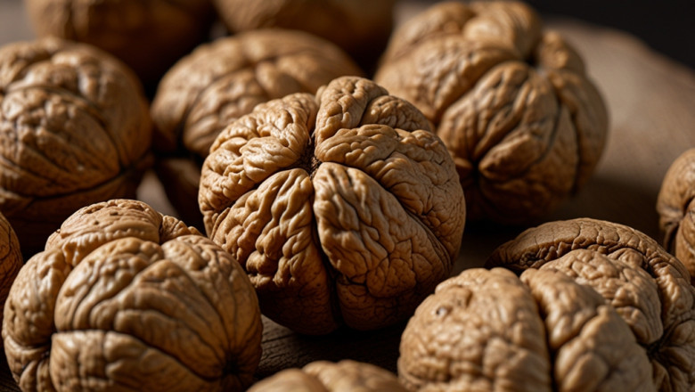 Walnuts Price Index, Real-Time Price Fluctuations, Chart and Forecast Data