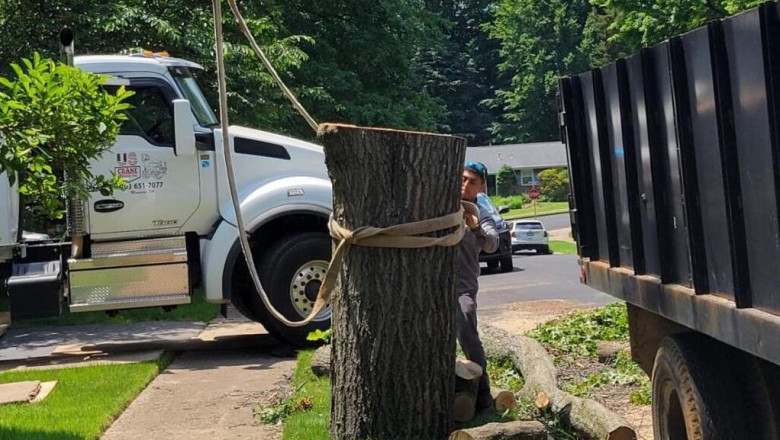 Complete Outdoor Transformation: Tree Service and Masonry Solutions Combined