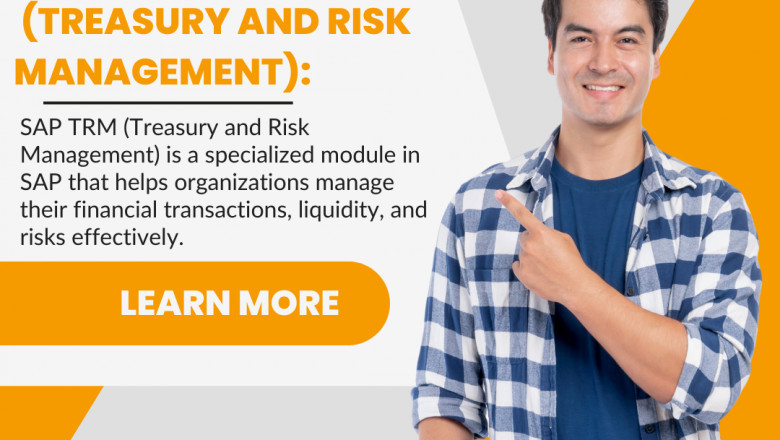 SAP TRM: Essential Guide to Treasury and Risk Management