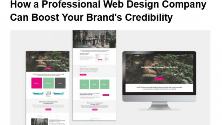 The Credibility Advantage: Why Expert Web Design Matters