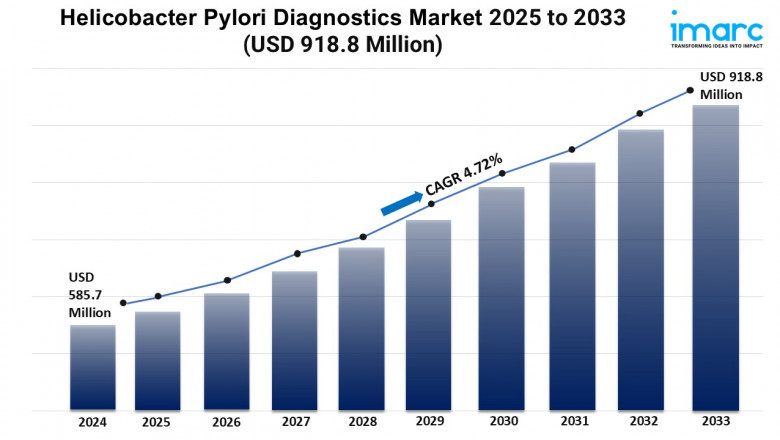 Helicobacter Pylori Diagnostics Market Share, and Trends Report 2025-2033