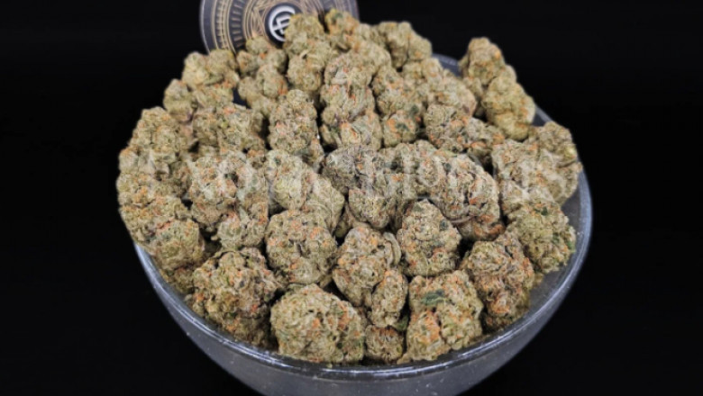Cookie Lovers Unite: Celebrating Girl Scout Cookies