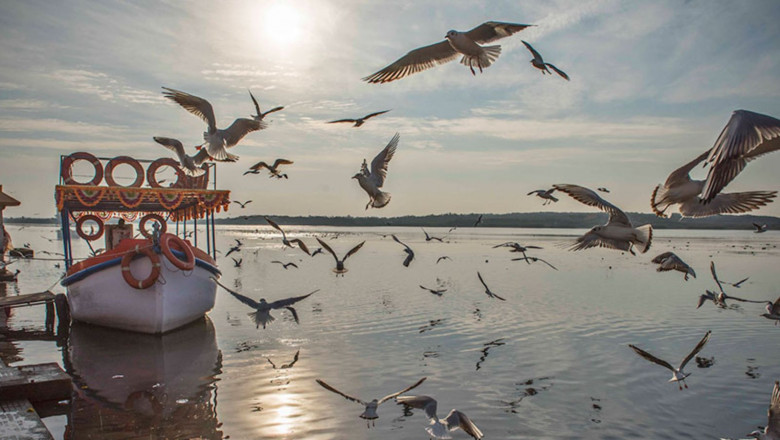 Experience Spiritual Peace at Triveni Sangam Somnath Today