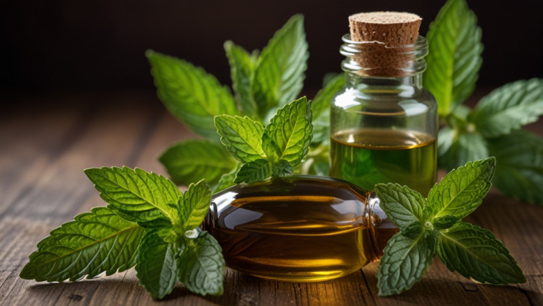 Peppermint Oil Price Chart 2025: Index, Historical Data and Forecast