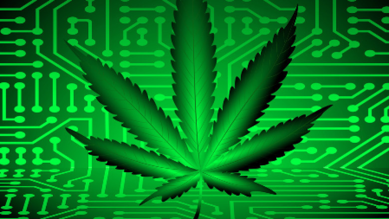 Employee Compliance Training in Missouri's Cannabis Industry
