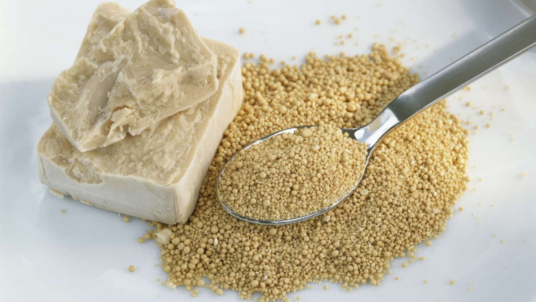 Yeast Manufacturing Plant Project Report 2025, Business Plan, Requirements, Cost and Revenue