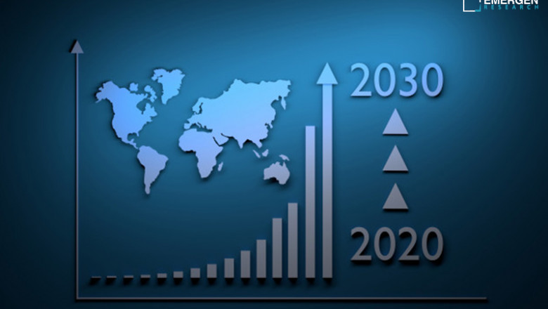 Citral Products Market Size, Share & Trends Analysis Report by 2033