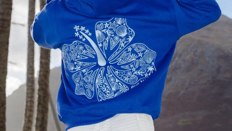 Meet the Pink Palm Puff Hoodie