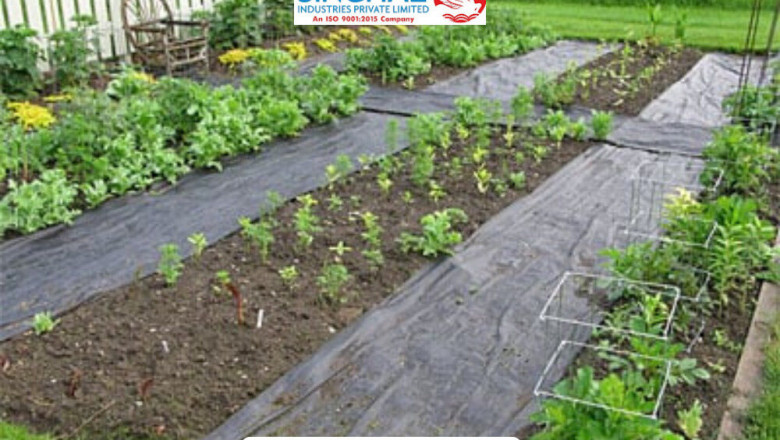 Weed Mat: The Ultimate Ground Cover Solution for Weed Control