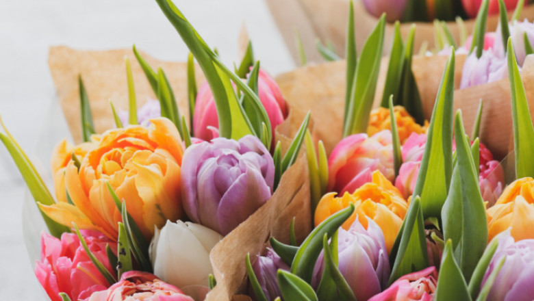 Blossoming Connections: How to Choose the Perfect flowers for Every Moment
