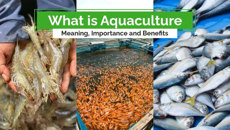 Aquaculture in India: Types, Importance, and Benefits