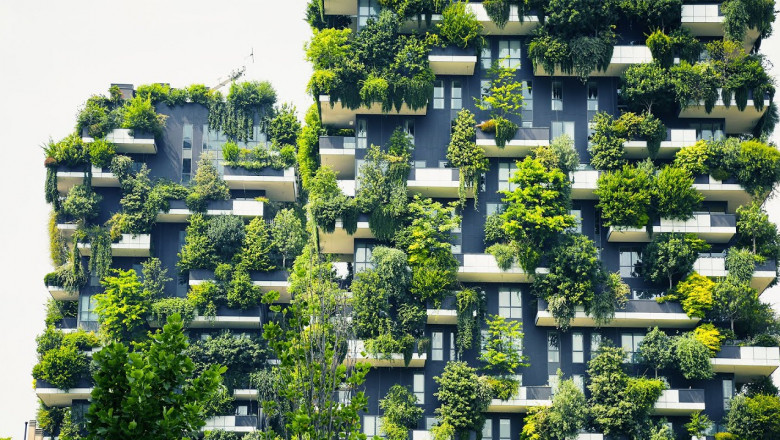 Green Buildings Market Expansion: Size, Trends & Forecast