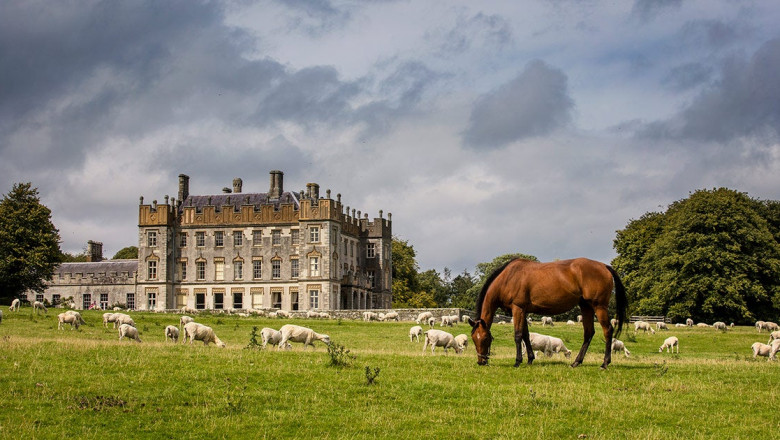 3 Days in Carlow: A Weekend Itinerary Full of Charm and Discovery