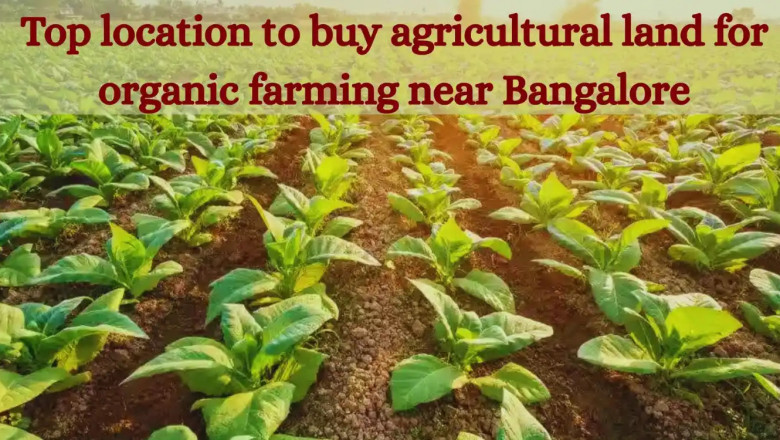 Top location to buy agricultural land for organic farming near Bangalore