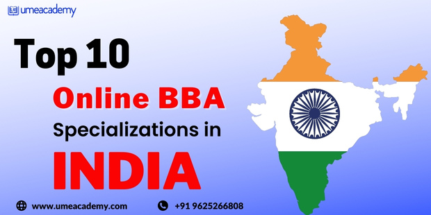 Top 10 Online BBA Specializations In India 2024 | Online BBA