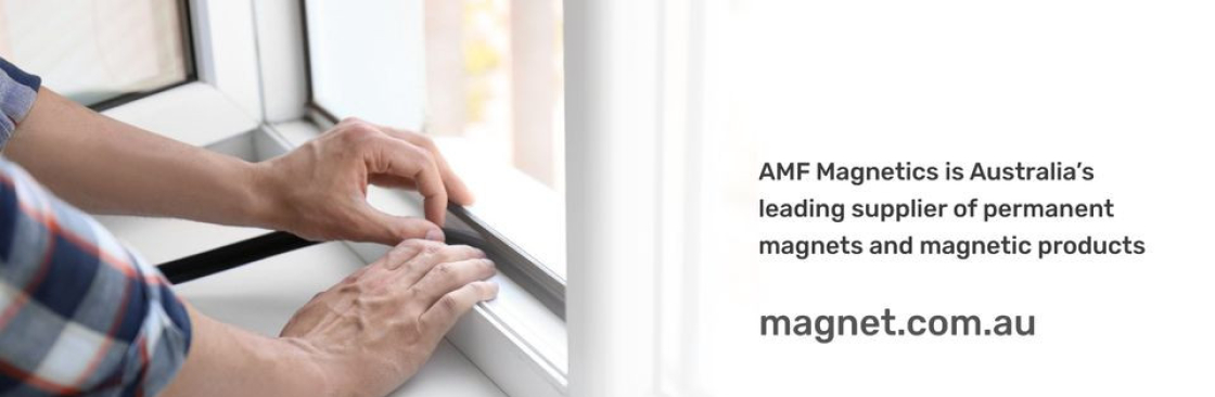 amf Magnetics Cover Image