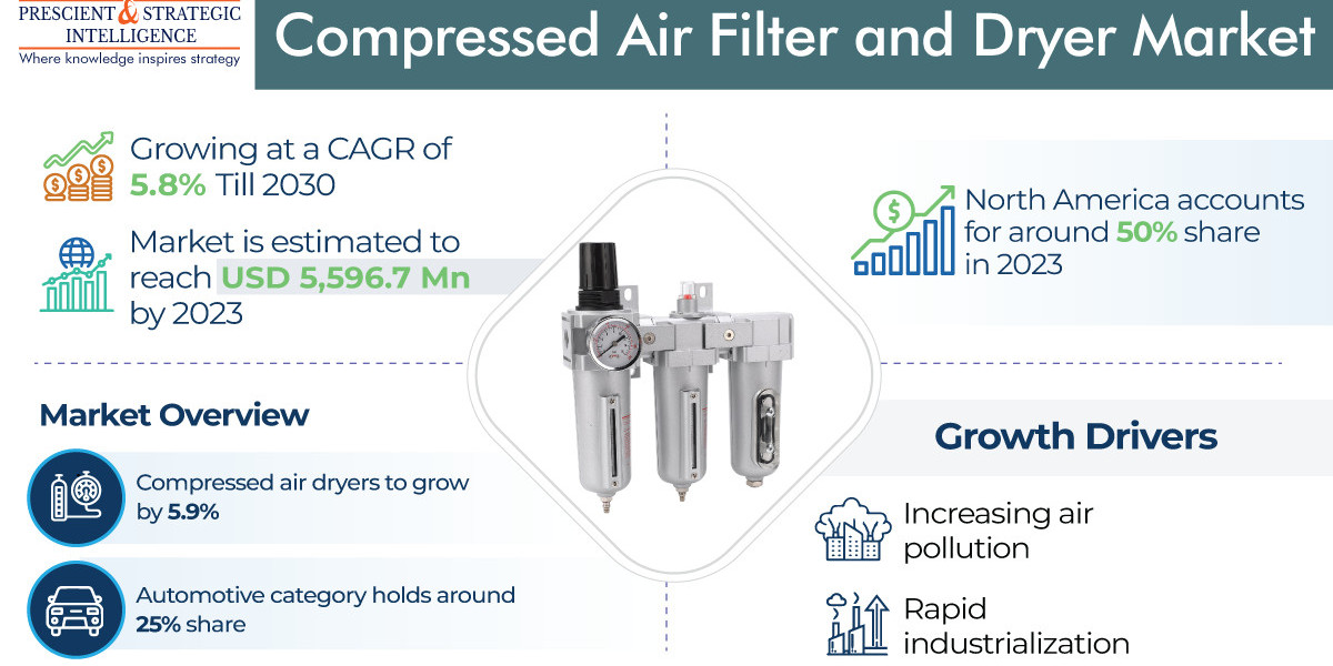 Purifying Performance: Insights into the Compressed Air Filter and Dryer Market
