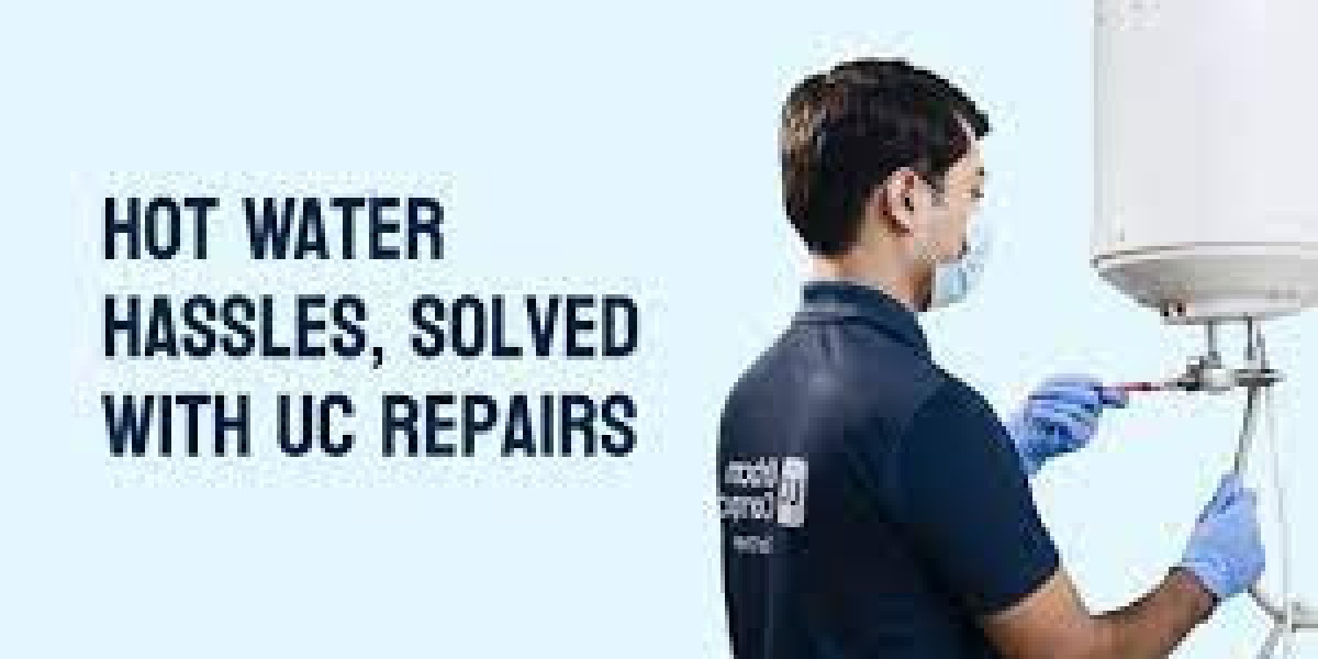Ensuring Your Geyser's Longevity  Expert Repair Services