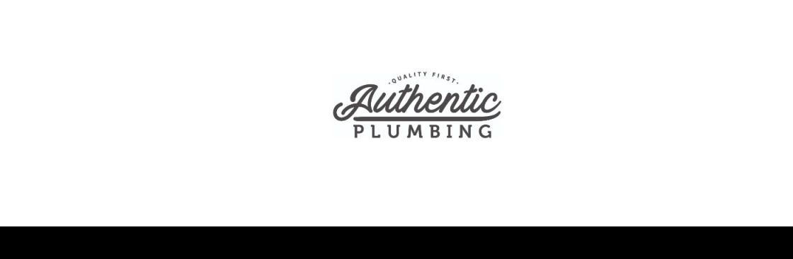 Authentic Plumbing Cover Image