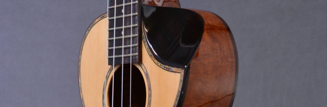 Ukoo Ukuleles Shop Cover Image